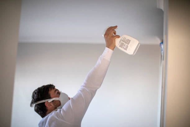 Best Mold Removal Company Near Me  in Cumberland, MD