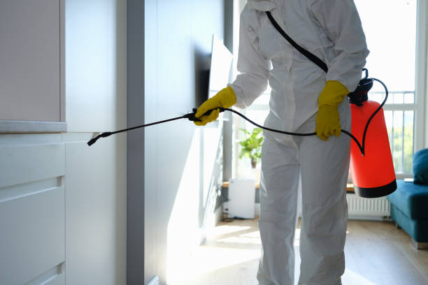 Crawl Space Mold Removal in Cumberland, MD